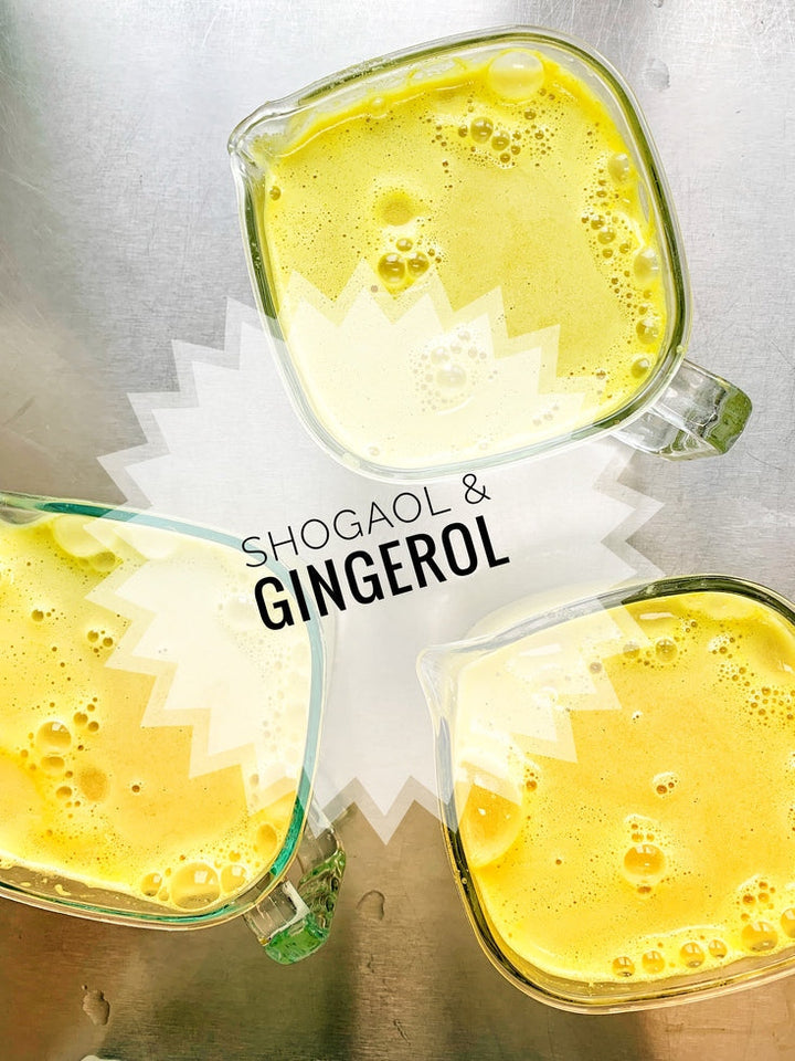 Ein Bild mit drei Krügen in denen frisch gepresster Bio Ingwersaft zu sehen ist. Darüber steht als Schrift: Shogaol & Gingerol