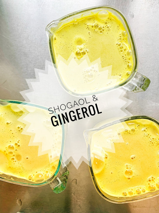 Gingerol und Shogaol