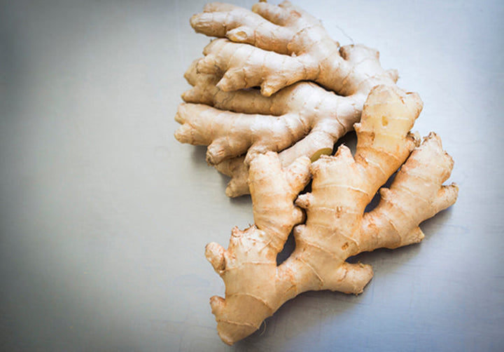 Eine große, frische Ingwerknolle mit vielen "Fingern"