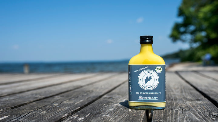 Ingwerianer Bio-Ingwerdirektsaft in der 200 ml Flasche